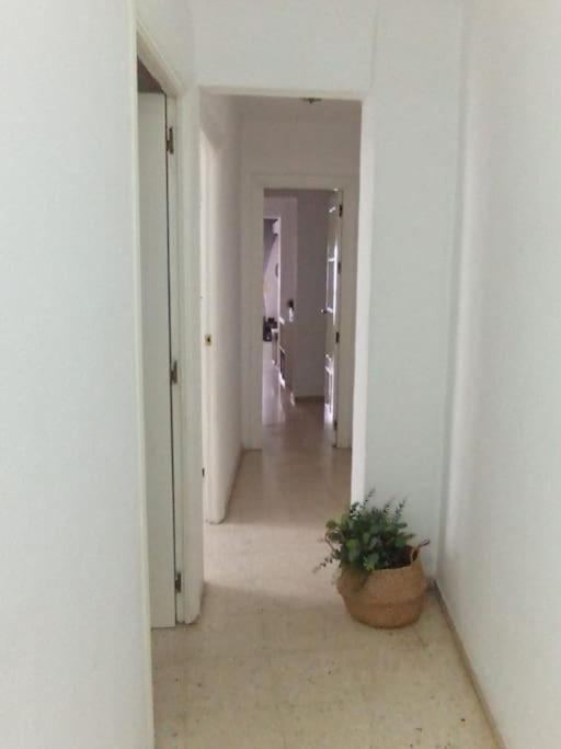 Apartamento Plaza Toros إشبيلية المظهر الخارجي الصورة